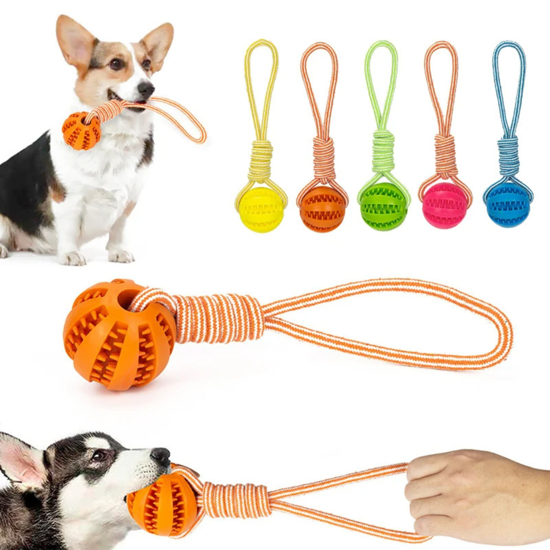 Bola Dispenser de Petiscos com Corda Diversão e Recompensa para Cachorros