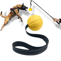 Brinquedo Bola com Alça para Treinamento Adestramento de Cães