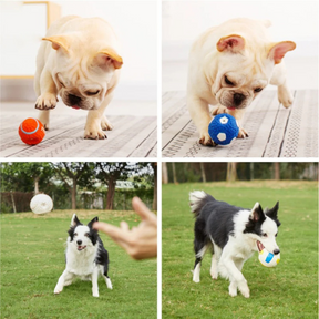 Bola Super Resistente Clinball Bola Futebol Americano para Cachorros