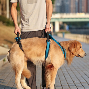 Arnês de Elevação Sling Suporte para Cachorros com Dificuldade de Andar ou Deficiência