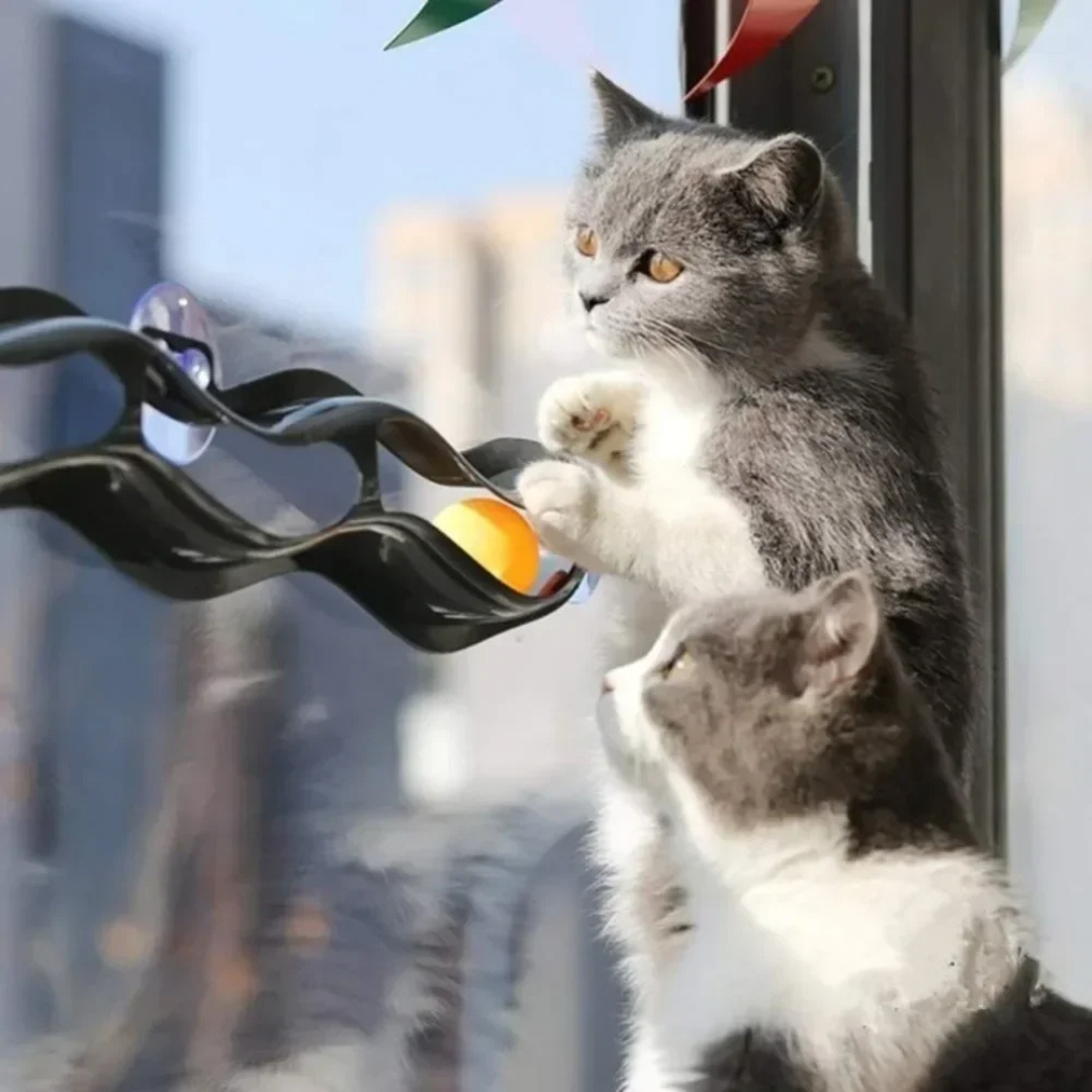 Brinquedo Túnel de Bolinhas com Ventosa para Gatos