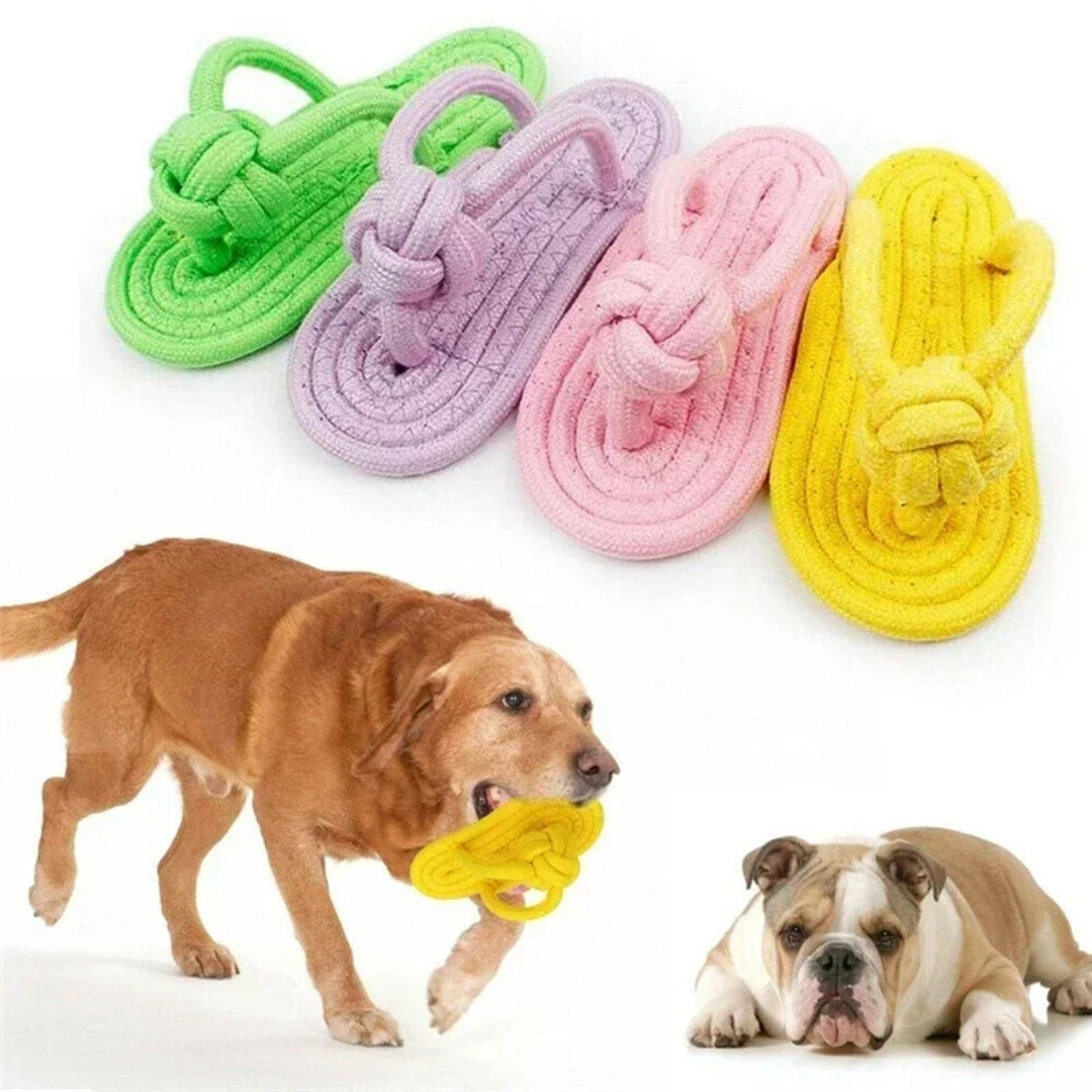 Chinelo Pelúcia Mordedor para Cachorros