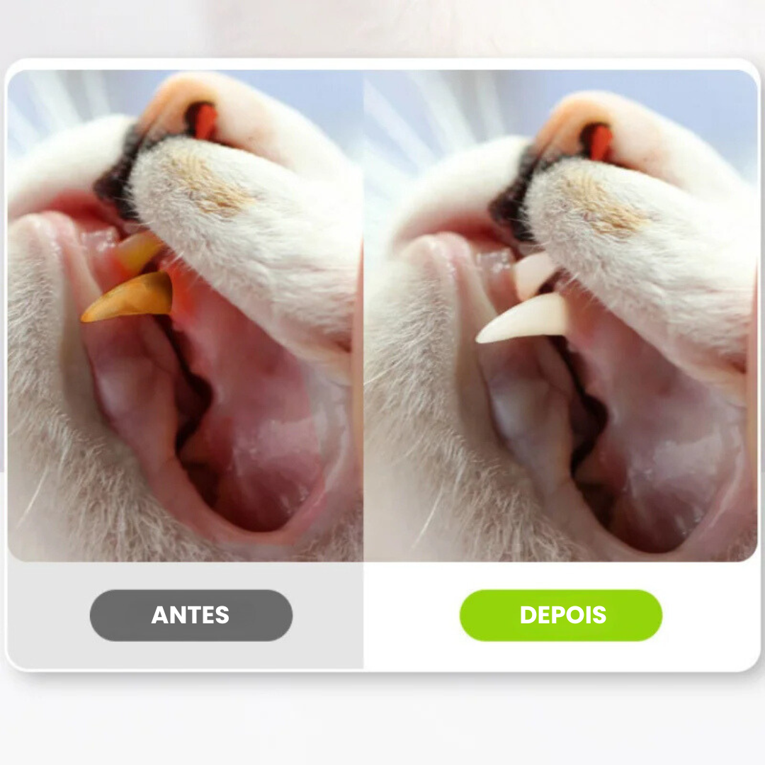 Palito Varinha de Morder Limpeza de Dentes para Gatos