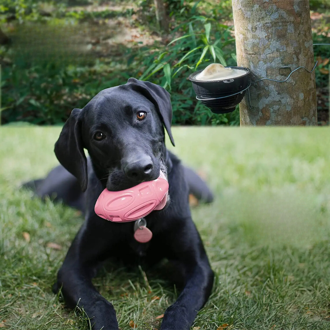 Brinquedo Bola Resistente com Som para Cachorro