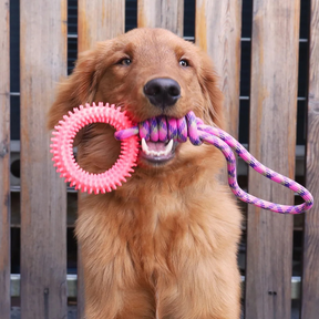 Brinquedo Corda com Argola Pet Mordedor Resistente para Dentição de Cães