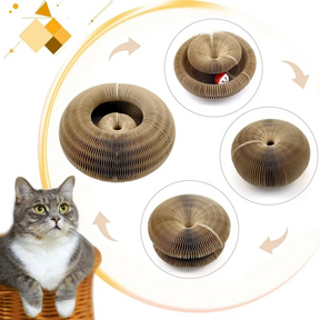 Arranhador de Gato Sanfona Brinquedo Interativo para Gato