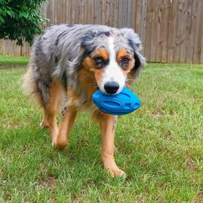 Brinquedo Bola Resistente com Som para Cachorro