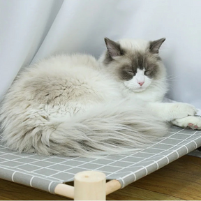 Cama Rede Elevada Suspensa para Gatos