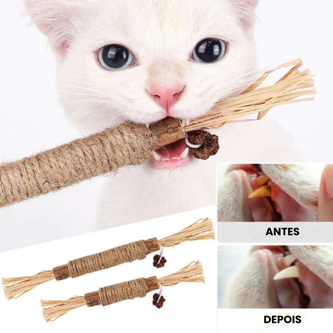 Palito Varinha de Morder Limpeza de Dentes para Gatos