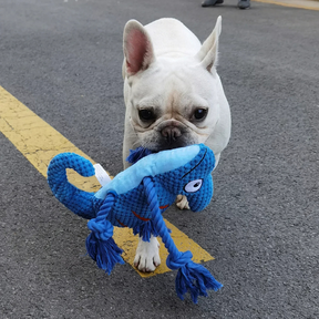 Brinquedo Pelúcia Camaleão Mordedor com Corda para Cachorros