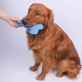 Brinquedo Osso Pelúcia para Cachorros