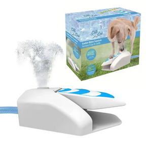 Bebedouro Ar Livre Fonte de Agua para Cães