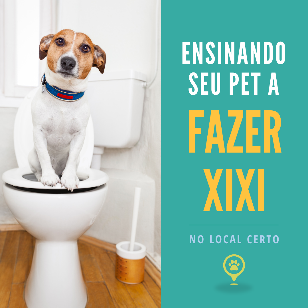 E-book - Ensinando seu pet a fazer xixi no local certo