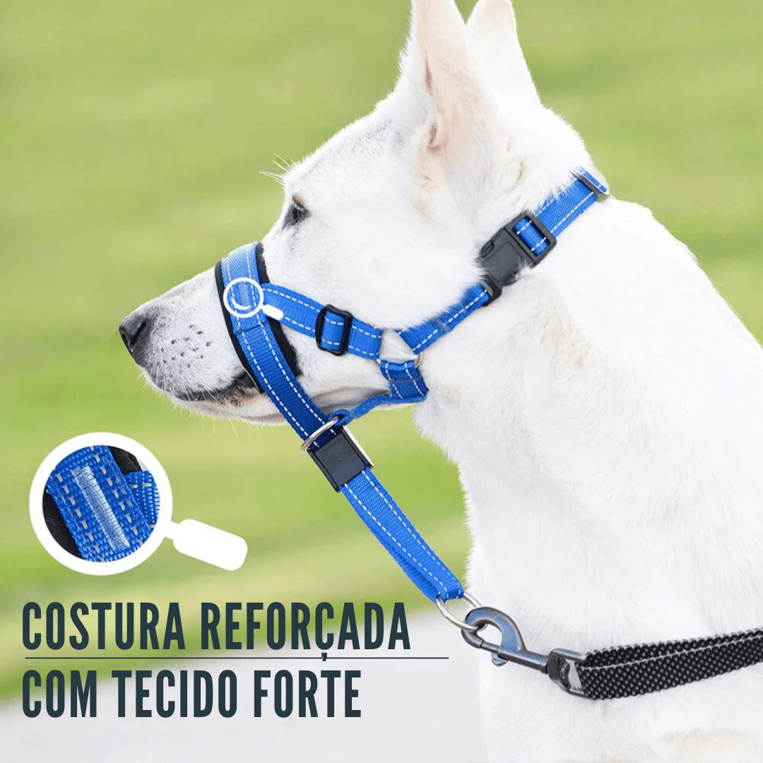 Coleira Anti Latido Focinheira com Guia Refletiva para Treinamento Adestramento de Cachorros