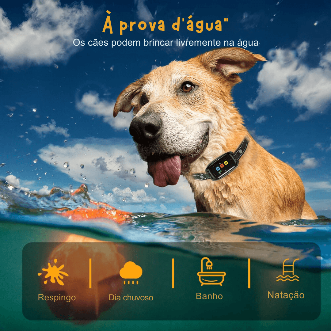 Coleira com Dispositivo Controle de Latidos de Cachorros Colar Eletrônico para Treinamento e Adestramento