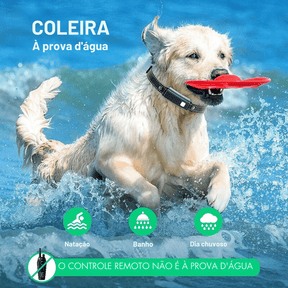 Coleira Colar de Treinamento Adestramento de Cães 4 Modos com Alcance de 1000 Metros