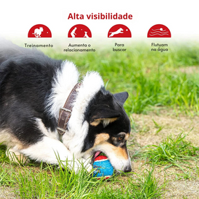 Bola de Tênis Pet Gigwi Ball Resistente para Cachorros