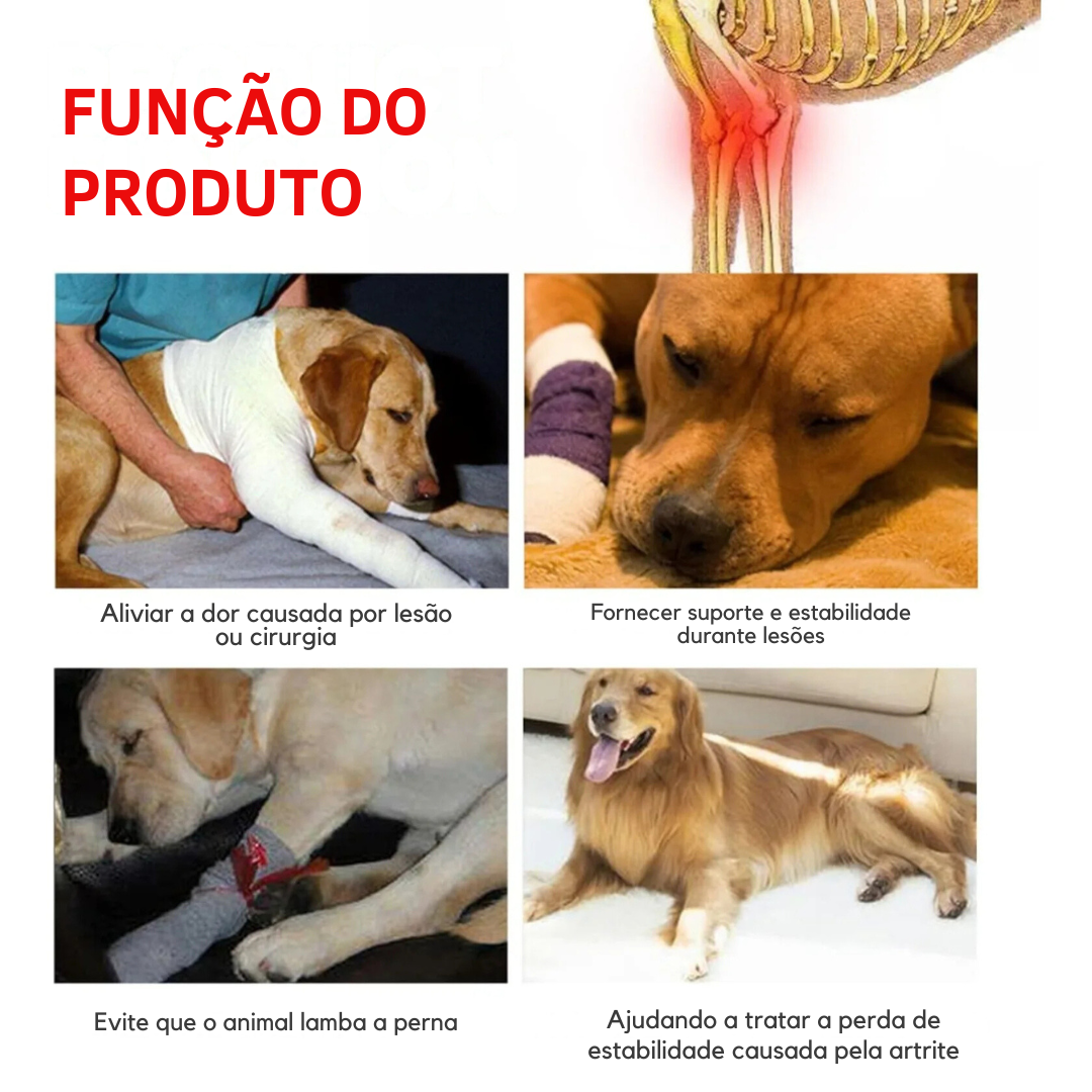 Joelheira Suporte Cinta de Articulação Patas Dianteiras de Cachorros