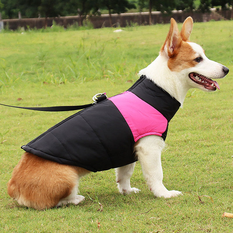 Colete Pet Waterproof