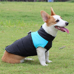 Colete Pet Waterproof