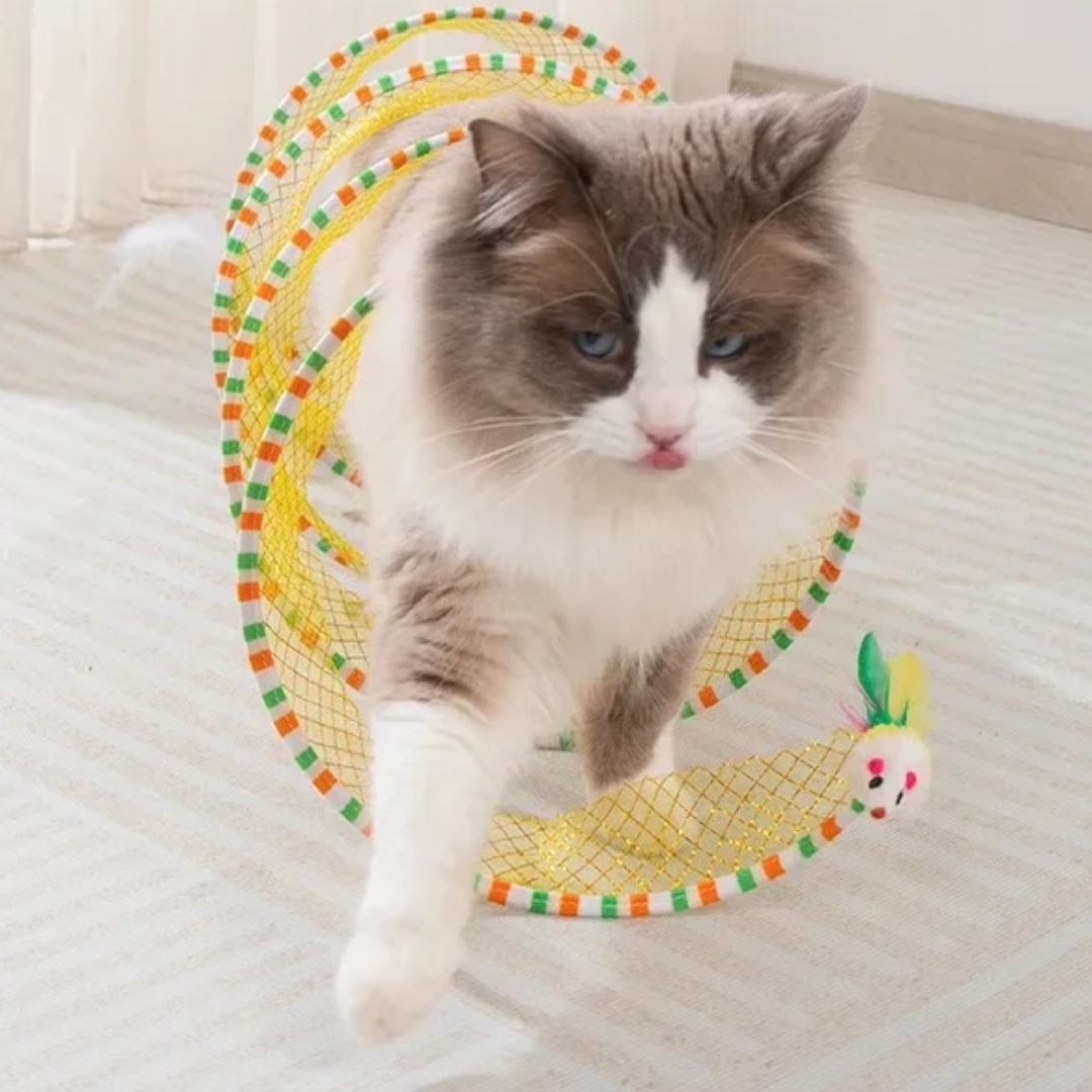 Brinquedo Arco Dobrável Túnel para Gatos