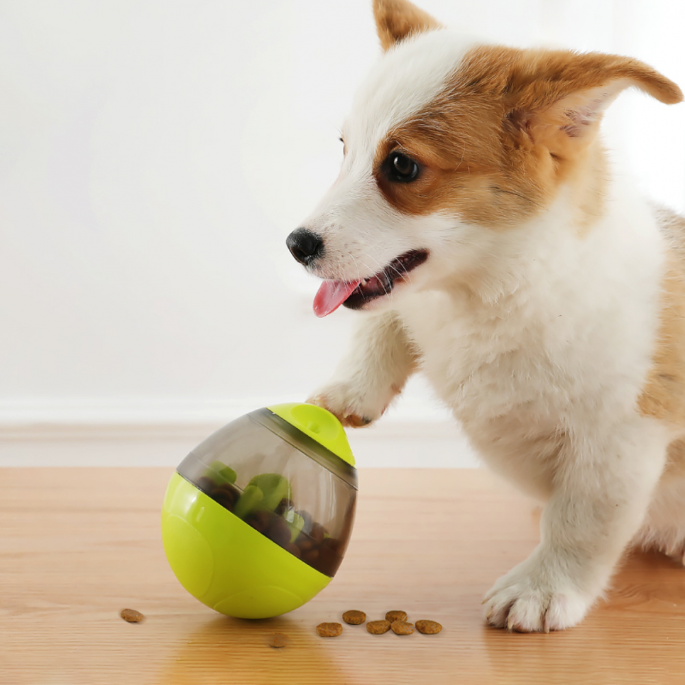 Brinquedo de Cachorro Ovo Dispenser de Ração e Petiscos